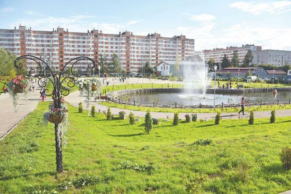 Аренда автокранов в Сертолово